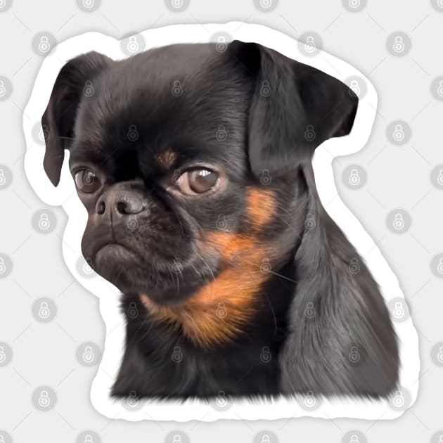 Dog offended face viral meme Sticker by PrimeStore